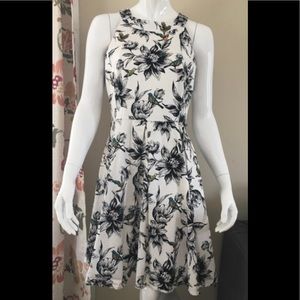 Dress Barn Cocktail Bird print dress